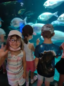 Sortie à l'aquarium de Paris