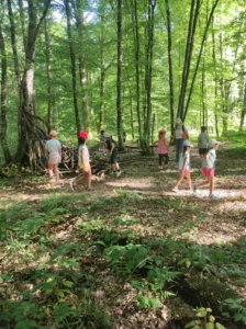 Sortie nature dans la forêt – été 2022