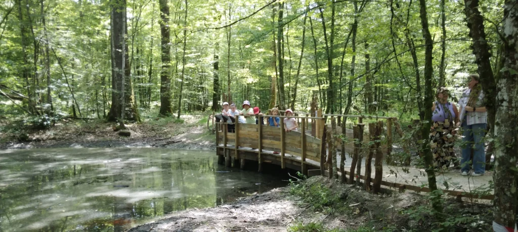 Enfants sur un pont dans la forêt
